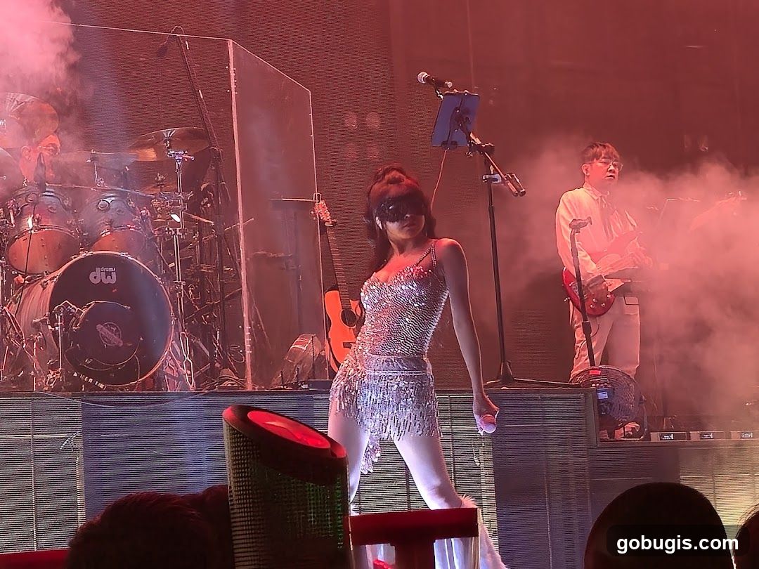 Concert Performance