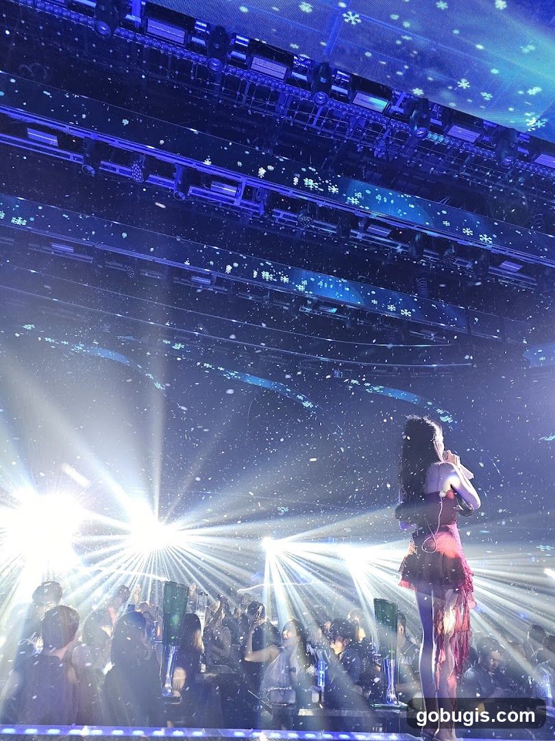 Concert Performance
