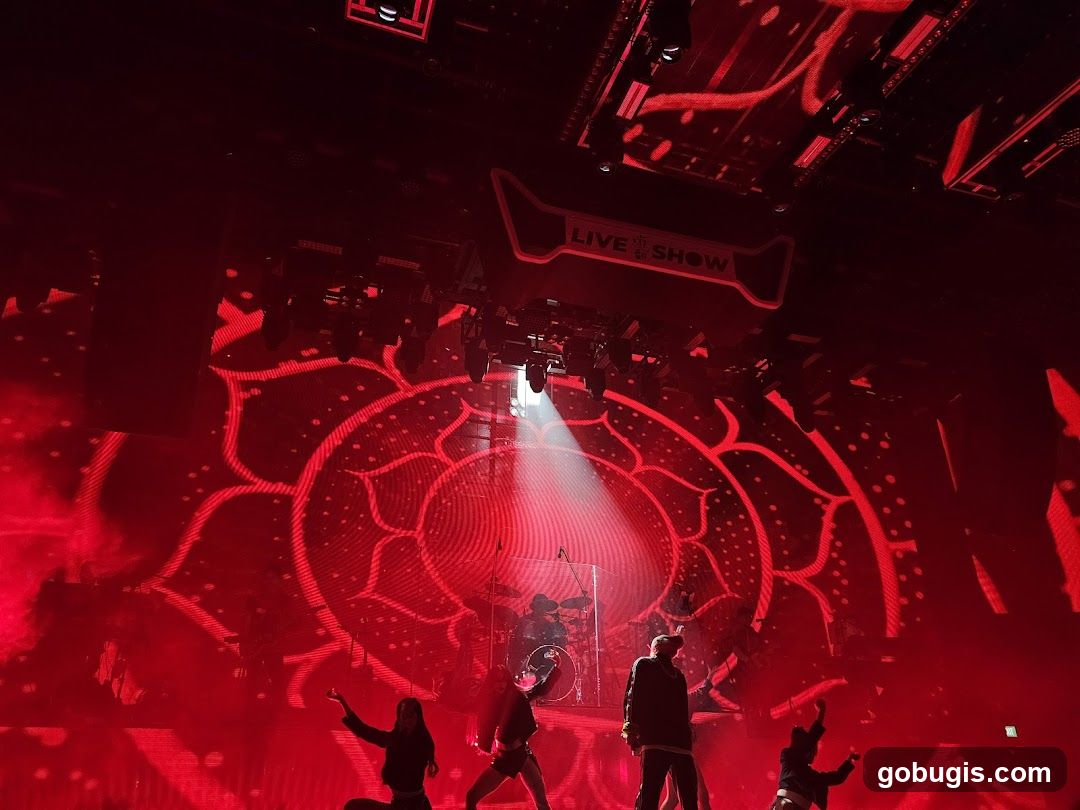 Live Show Performance
