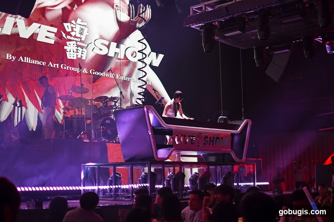 Live Show Performance