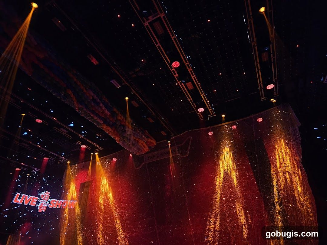 Stage with "LIVE SHOW" text and lighting