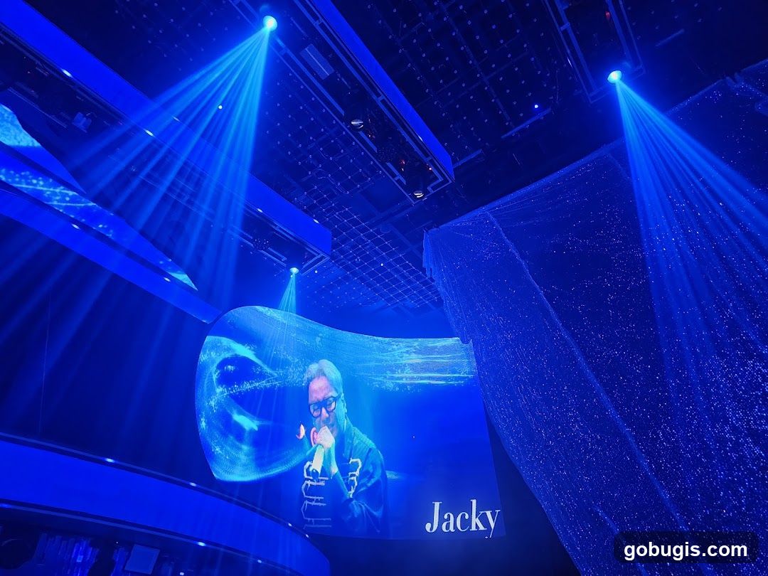 Stage Performance with Projection