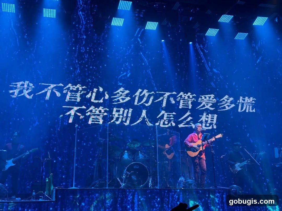 Concert Performance
