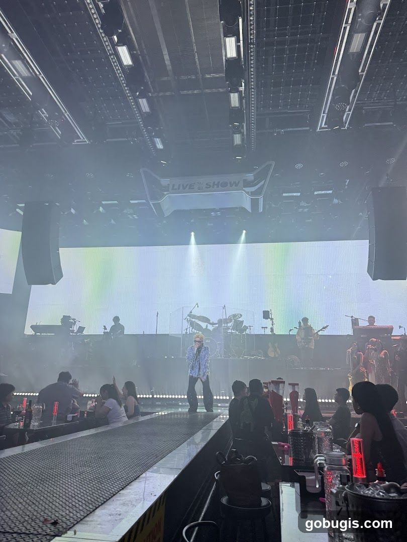 Live Music Performance