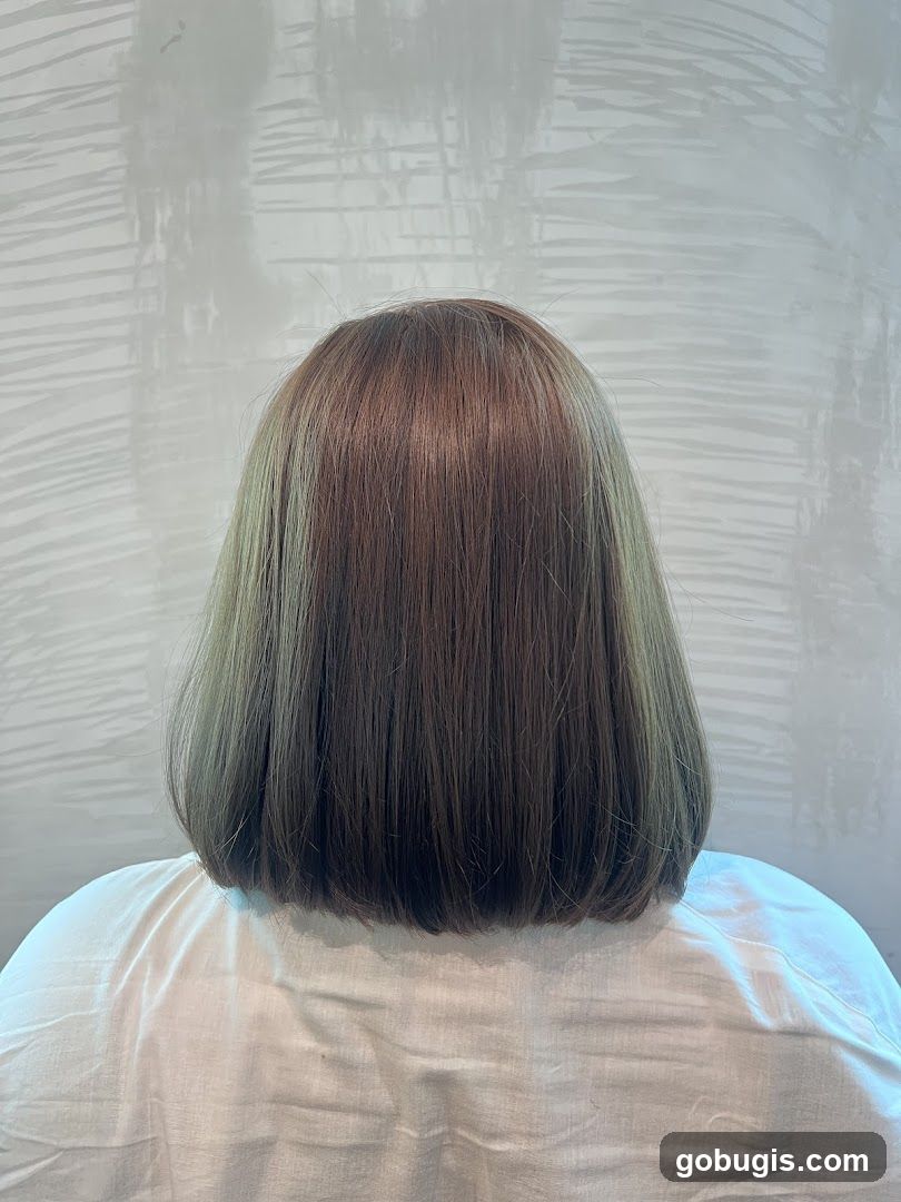 Woman's Bob Haircut
