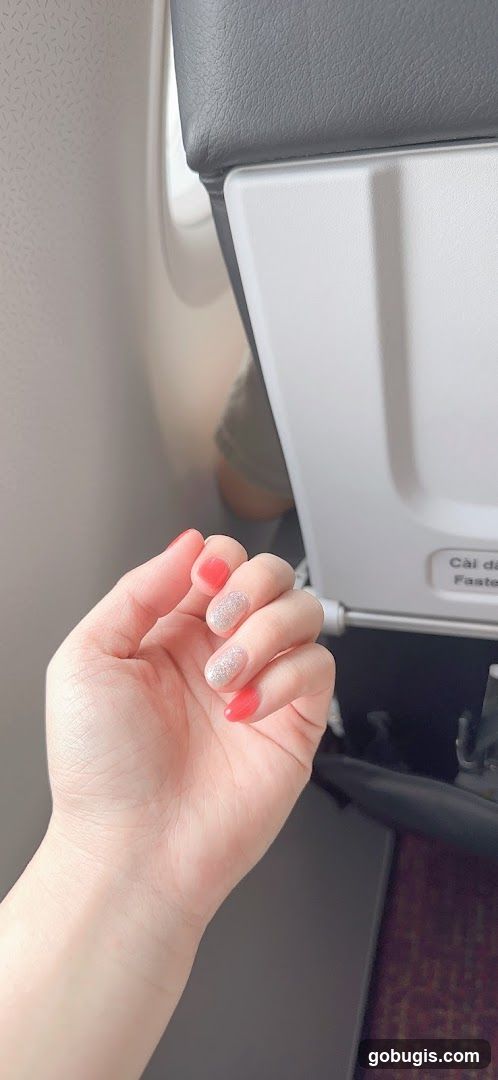 Airplane Seat Tray