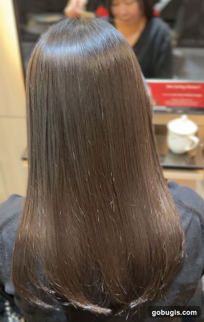 Shiny Brown Hair