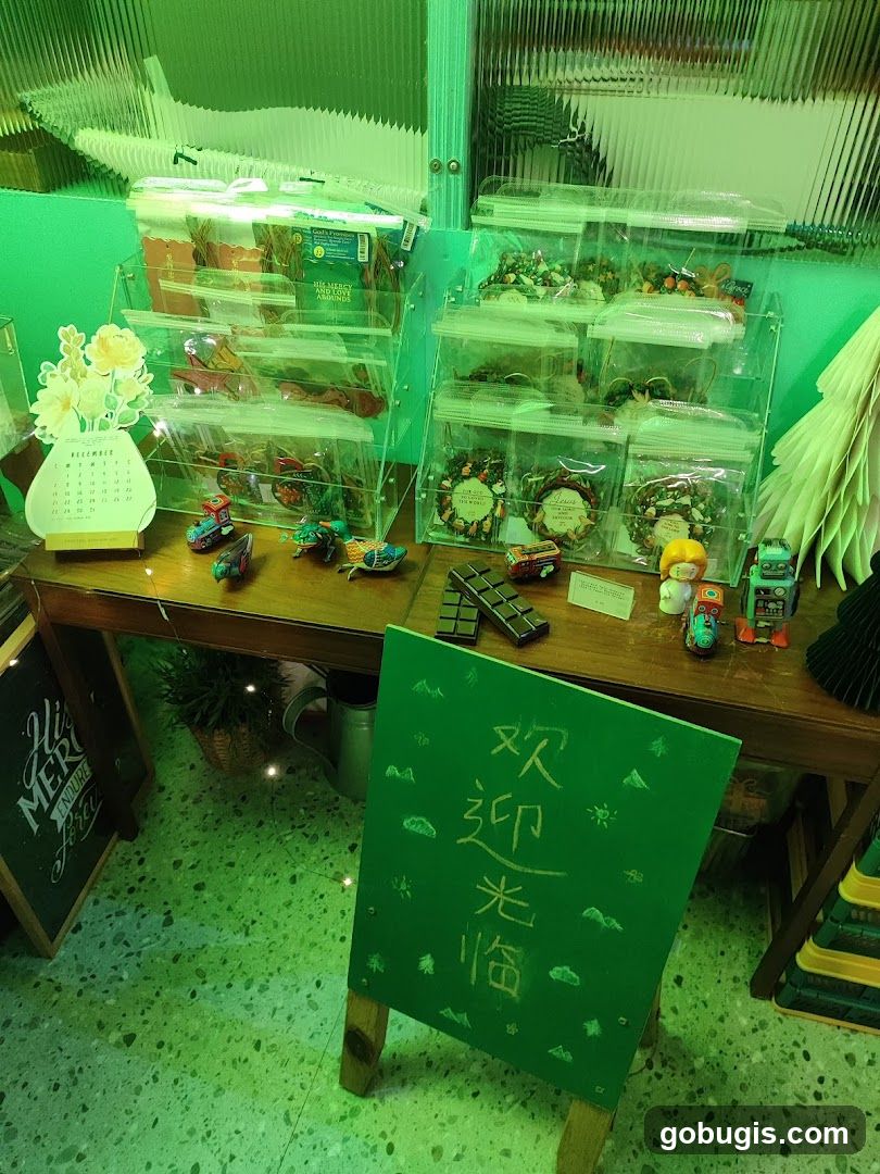 Display of Christmas Ornaments and Decorations