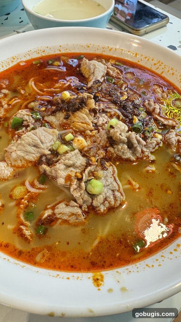 Spicy Noodle Soup