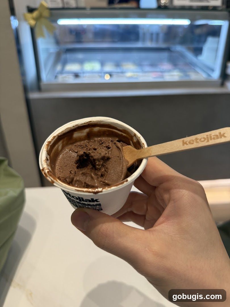 Chocolate Ice Cream Cup