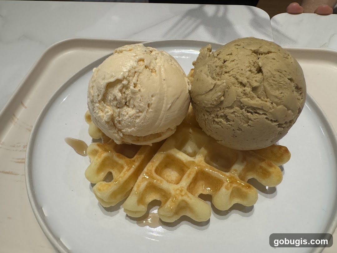 Ice Cream and Waffles