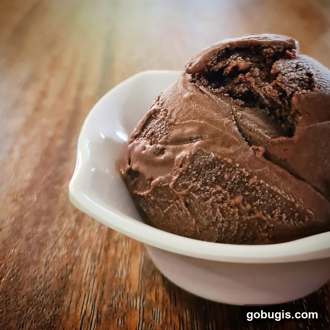 Chocolate Ice Cream