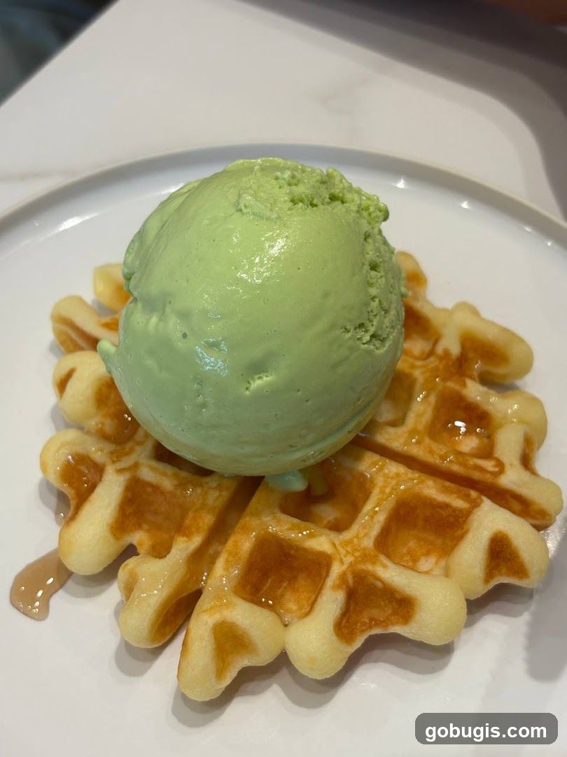Waffle with Ice Cream