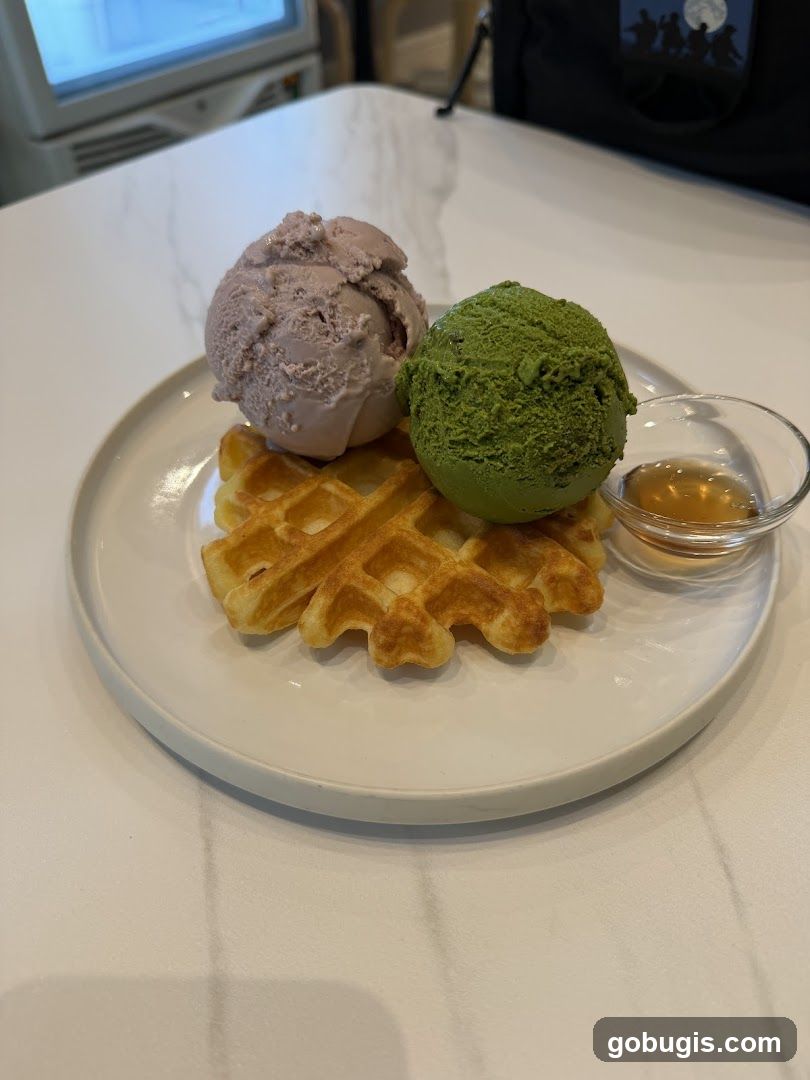 Ice Cream Waffle