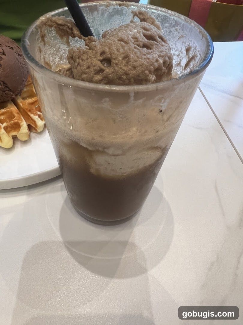 Chocolate Ice Cream Float with Waffles