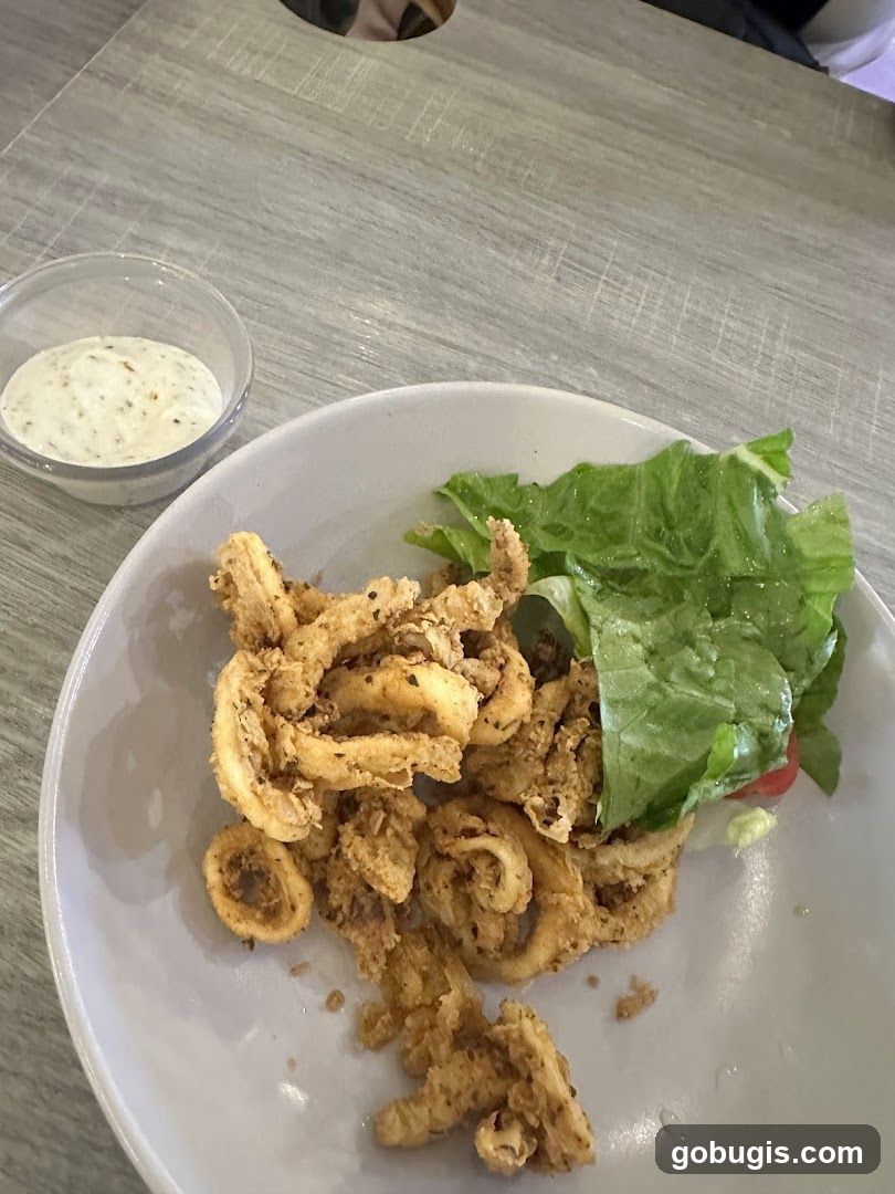 Fried Calamari with Salad and Dip