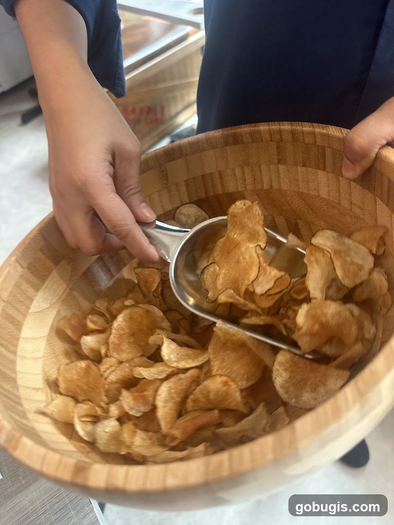 Potato Chips