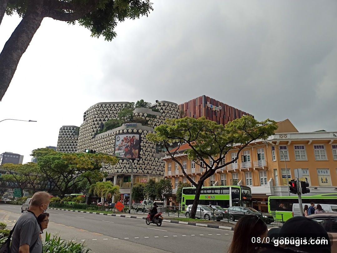 Street Scene with Unique Architecture and Buses