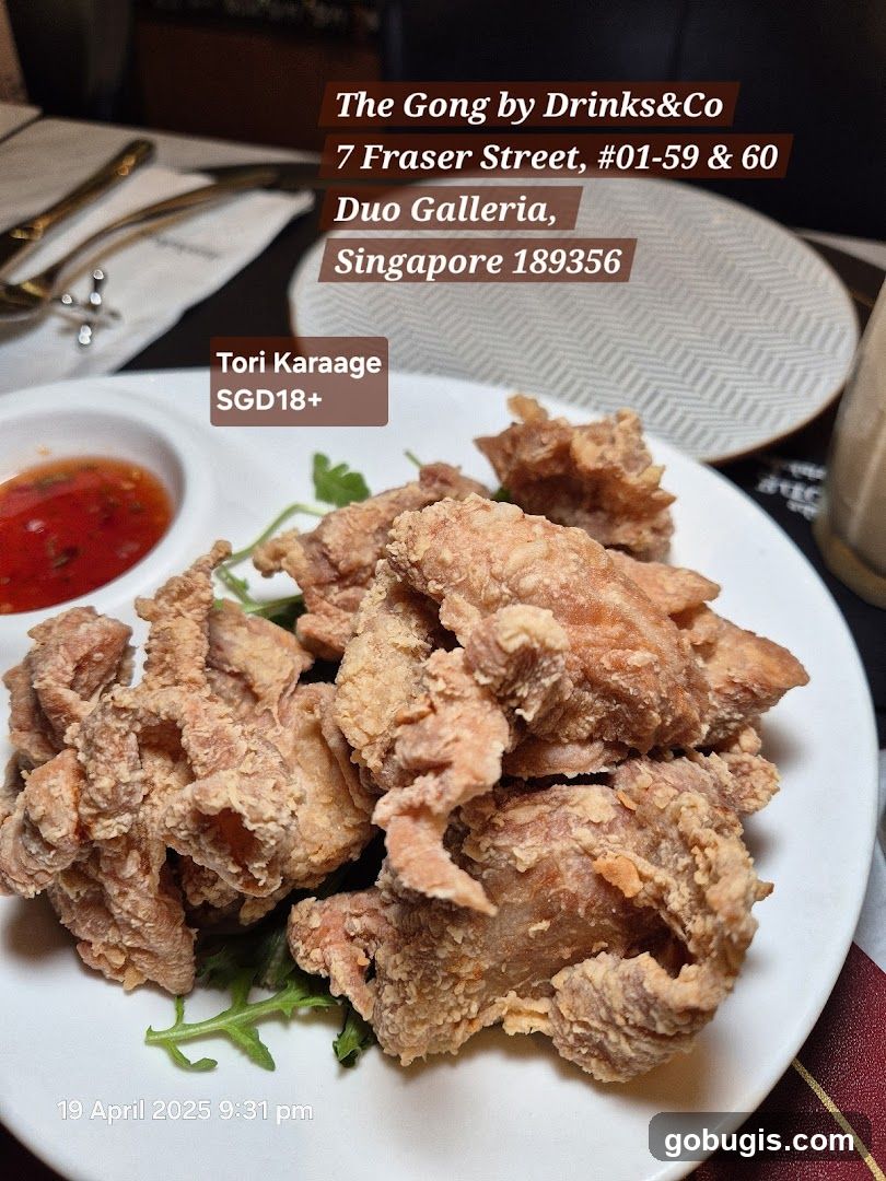 Tori Karaage