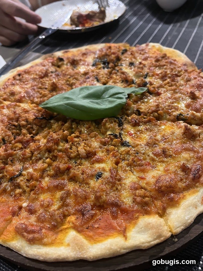 Pizza with Toppings