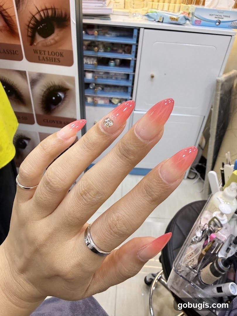 Nail Art Display