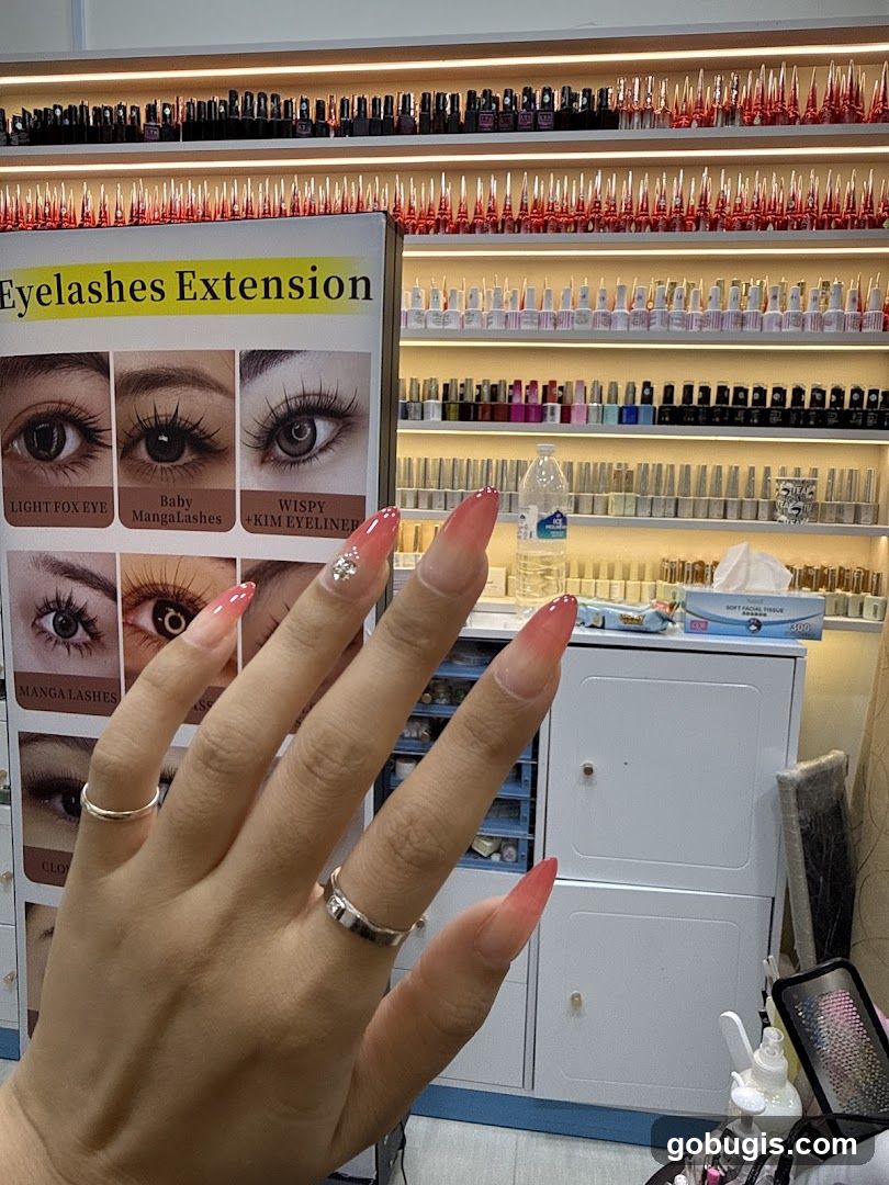 Eyelash Extension Display
