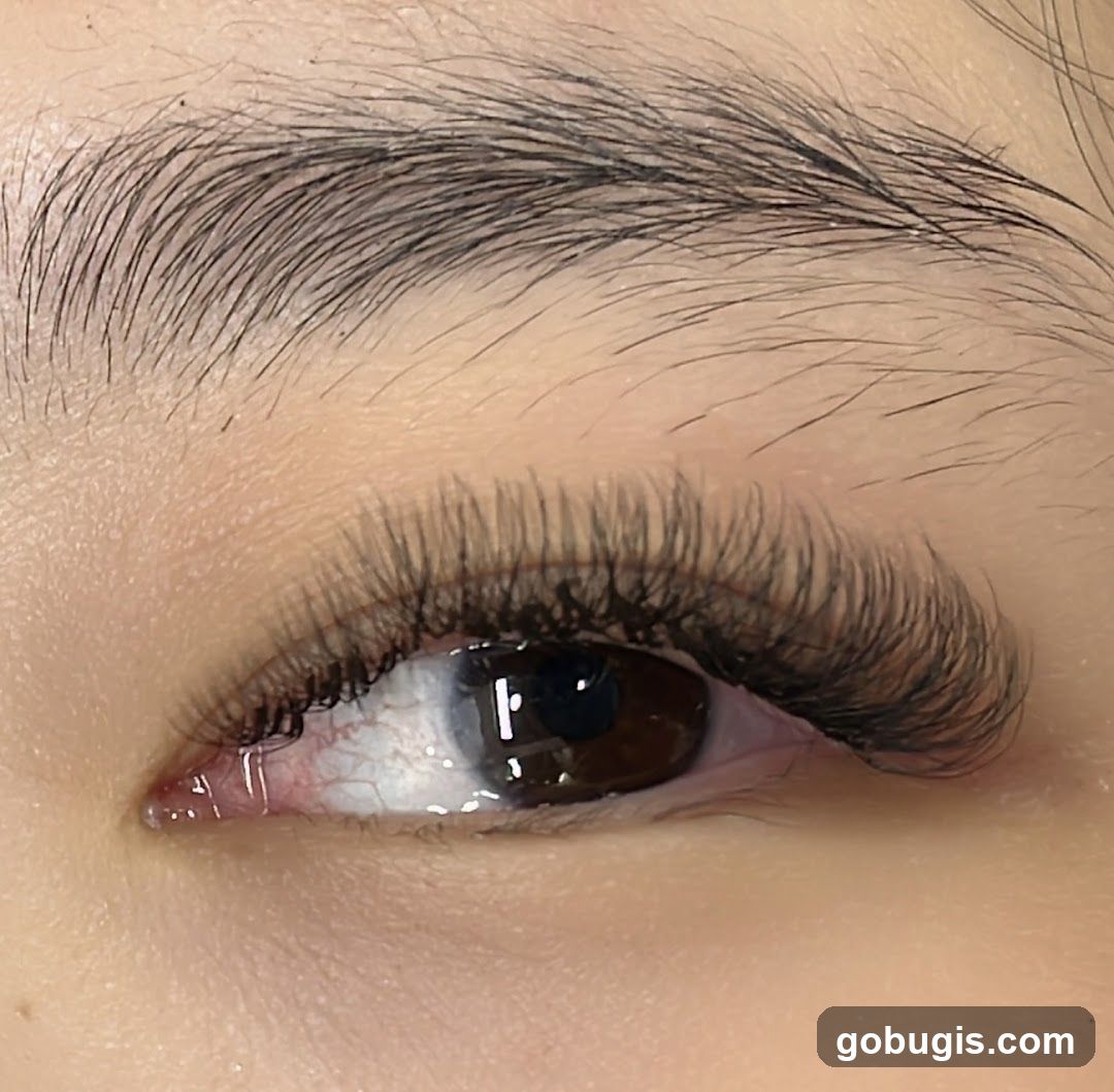 Close-up of an eye with dramatic eyelash extensions