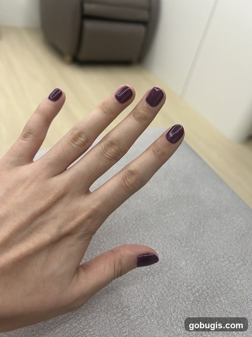 Woman's Hand with Dark Purple Nail Polish