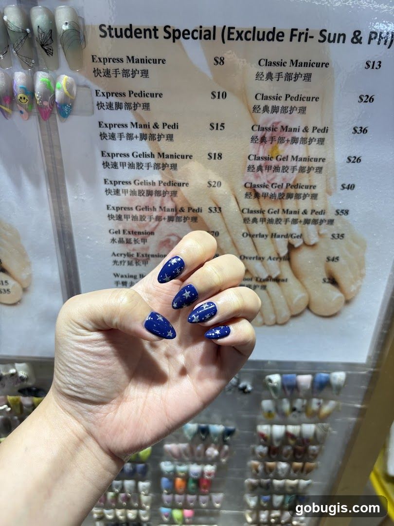 Nail Salon Menu and Nail Art Samples