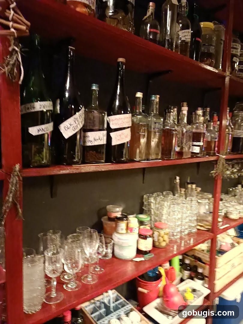 Bottles and glassware on shelves