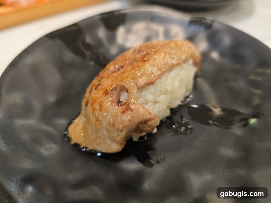Seared Sushi