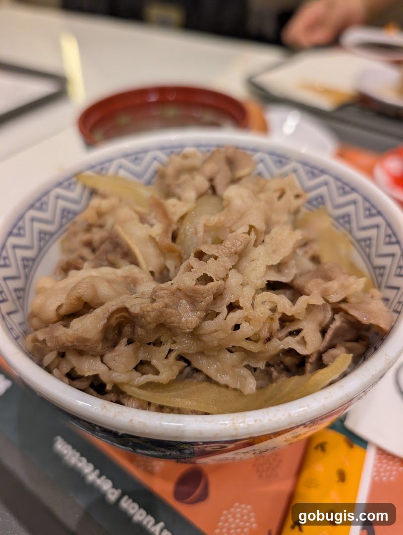 Beef Bowl