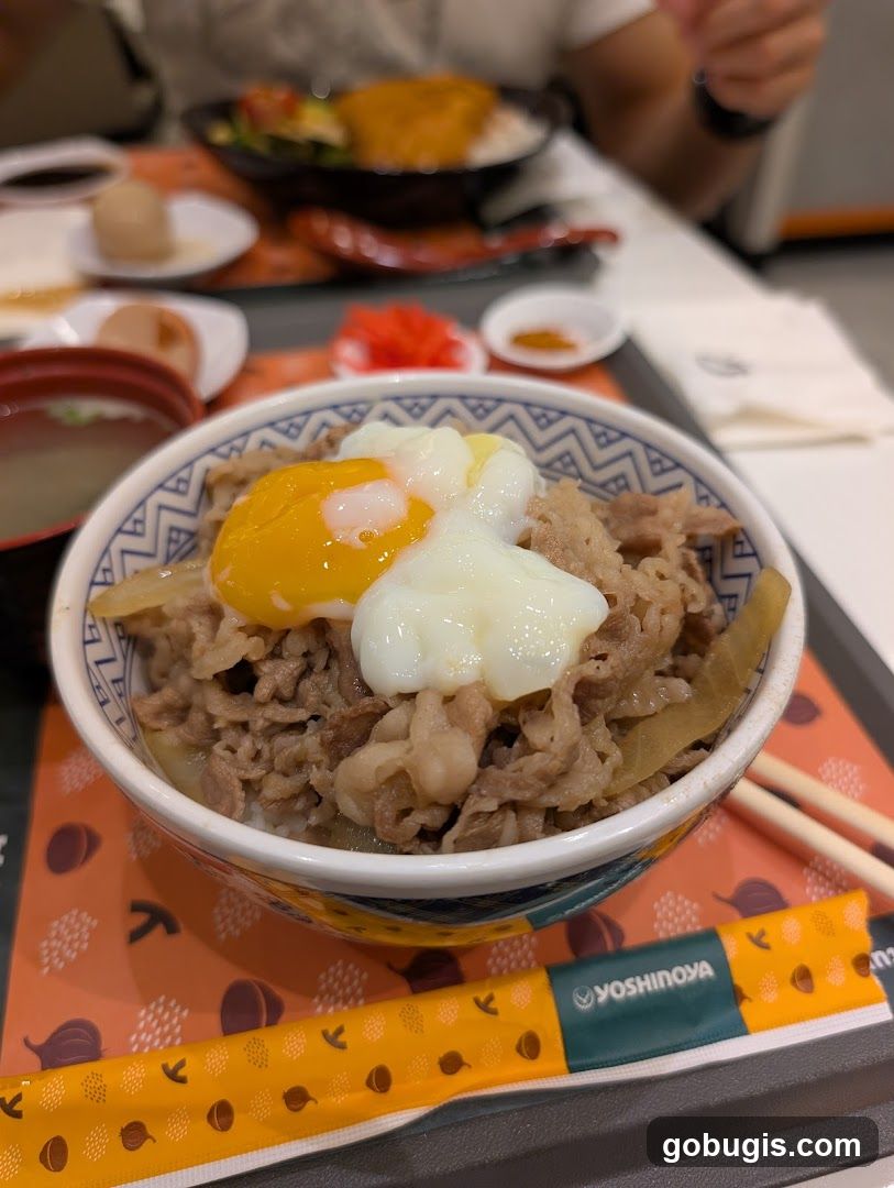 Beef Bowl with Egg