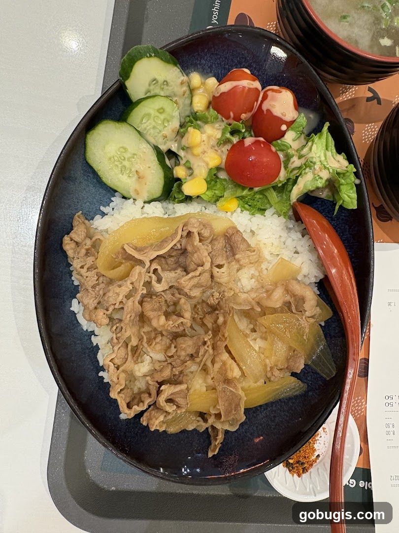 Beef Bowl with Salad