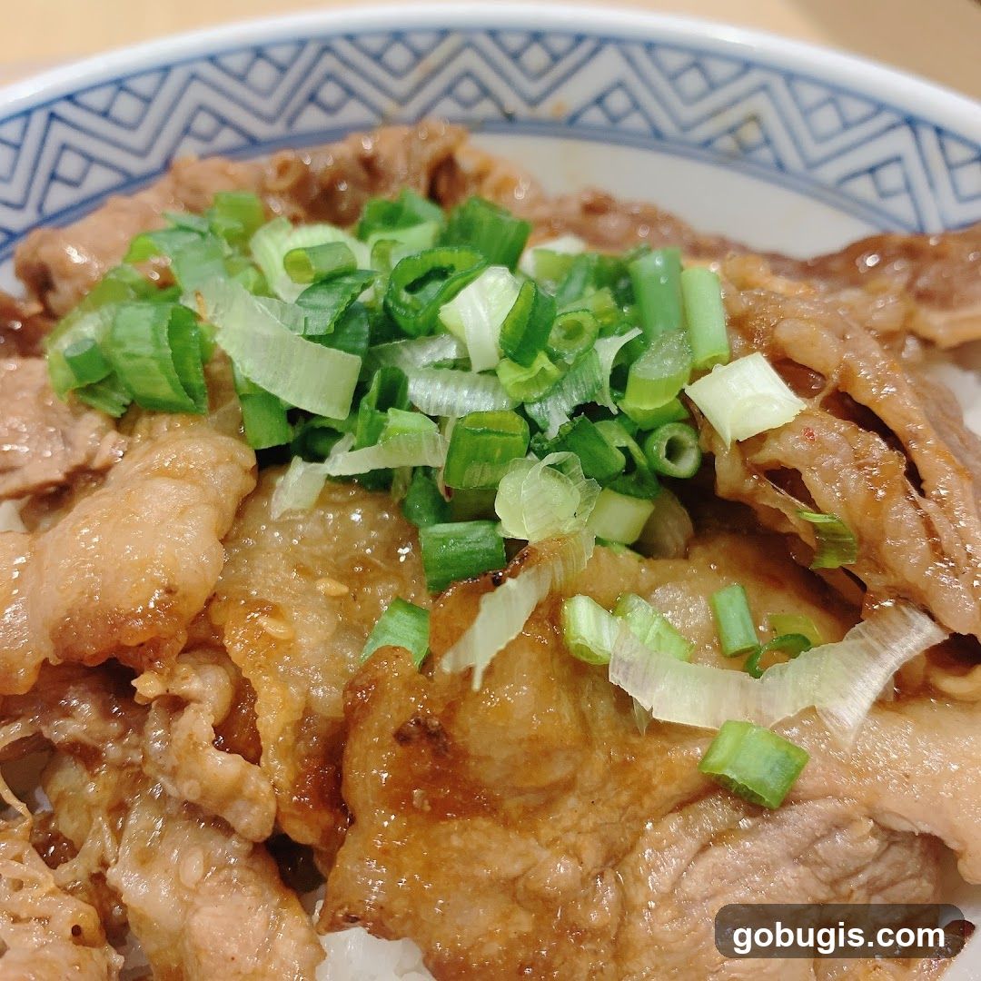 Beef Bowl with Scallions