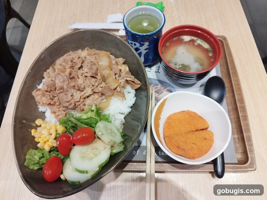 Japanese Meal Set