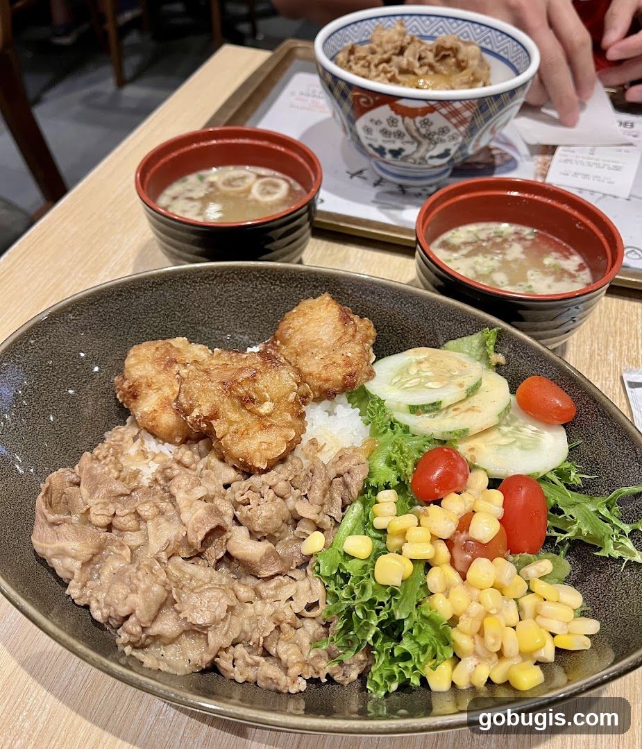Japanese Beef Bowl and Fried Chicken