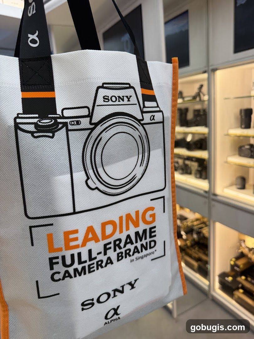 Sony Alpha Camera Bag