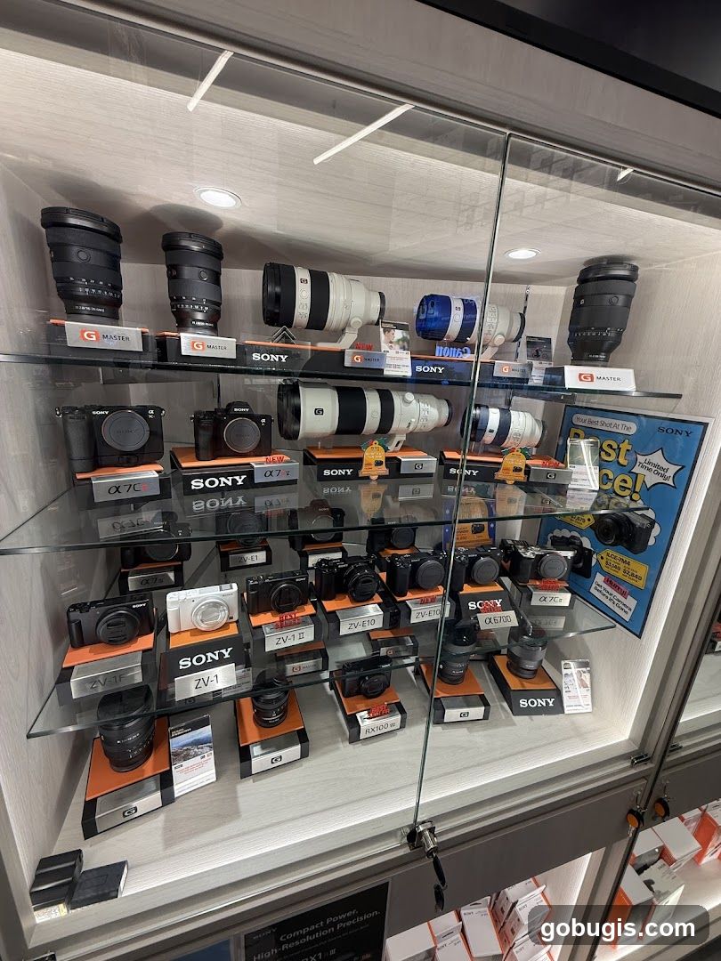 Sony Camera Display