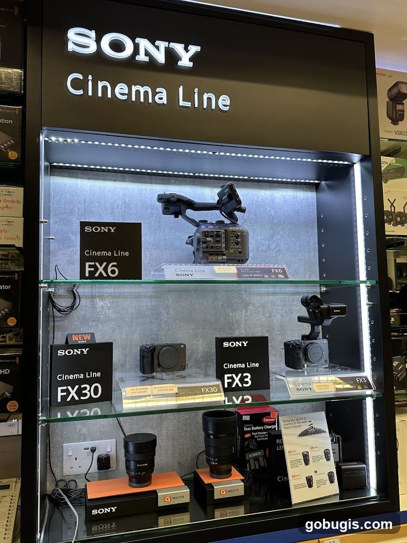 Sony Cinema Line Camera Display