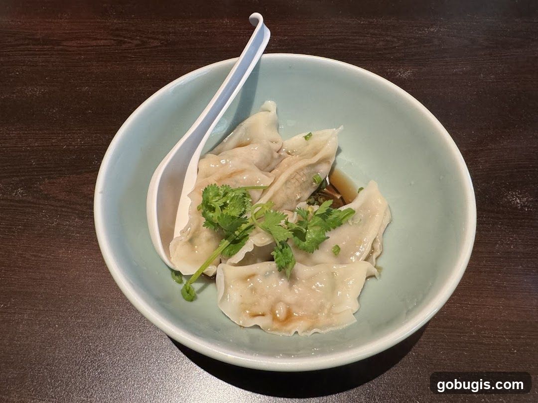 Dumplings in a Bowl
