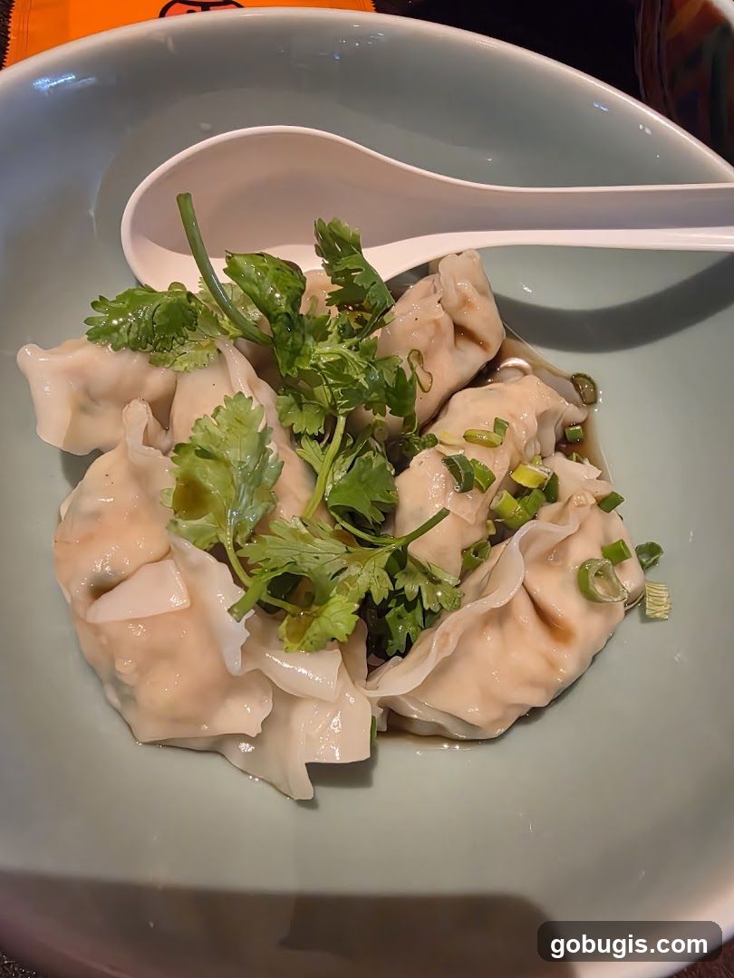 Dumplings in Broth