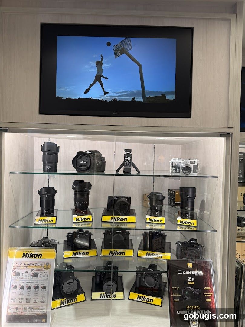 Nikon Camera Display