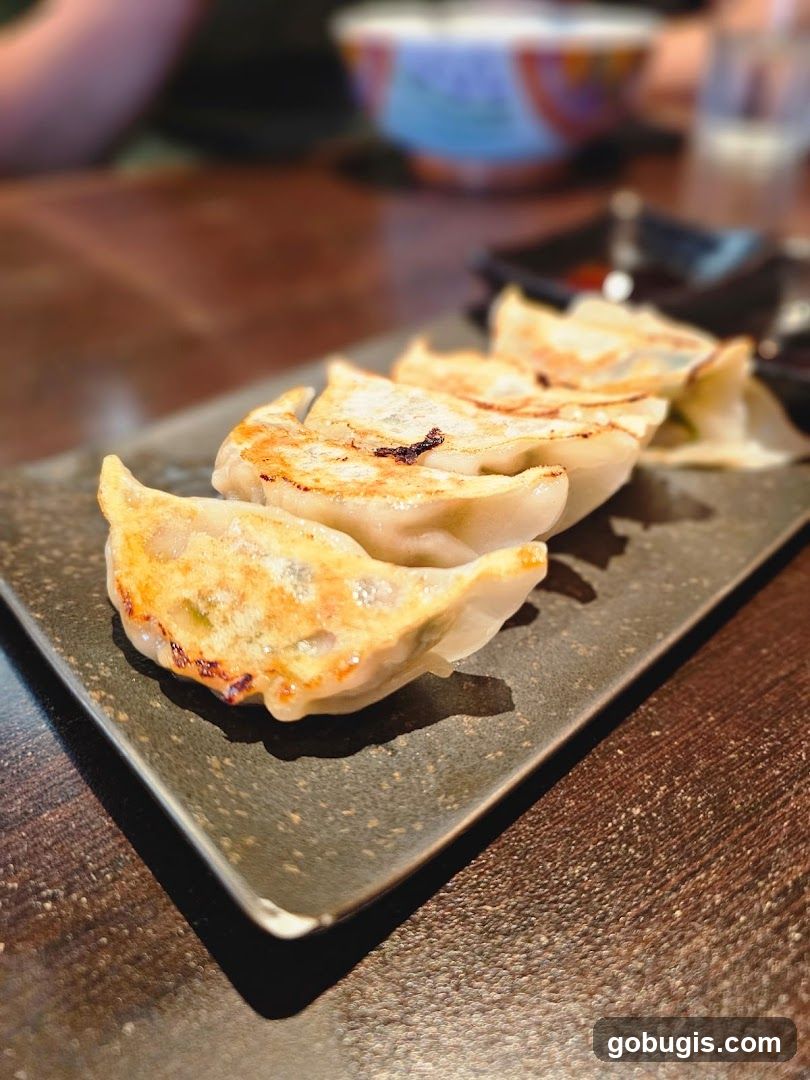 Pan-fried dumplings
