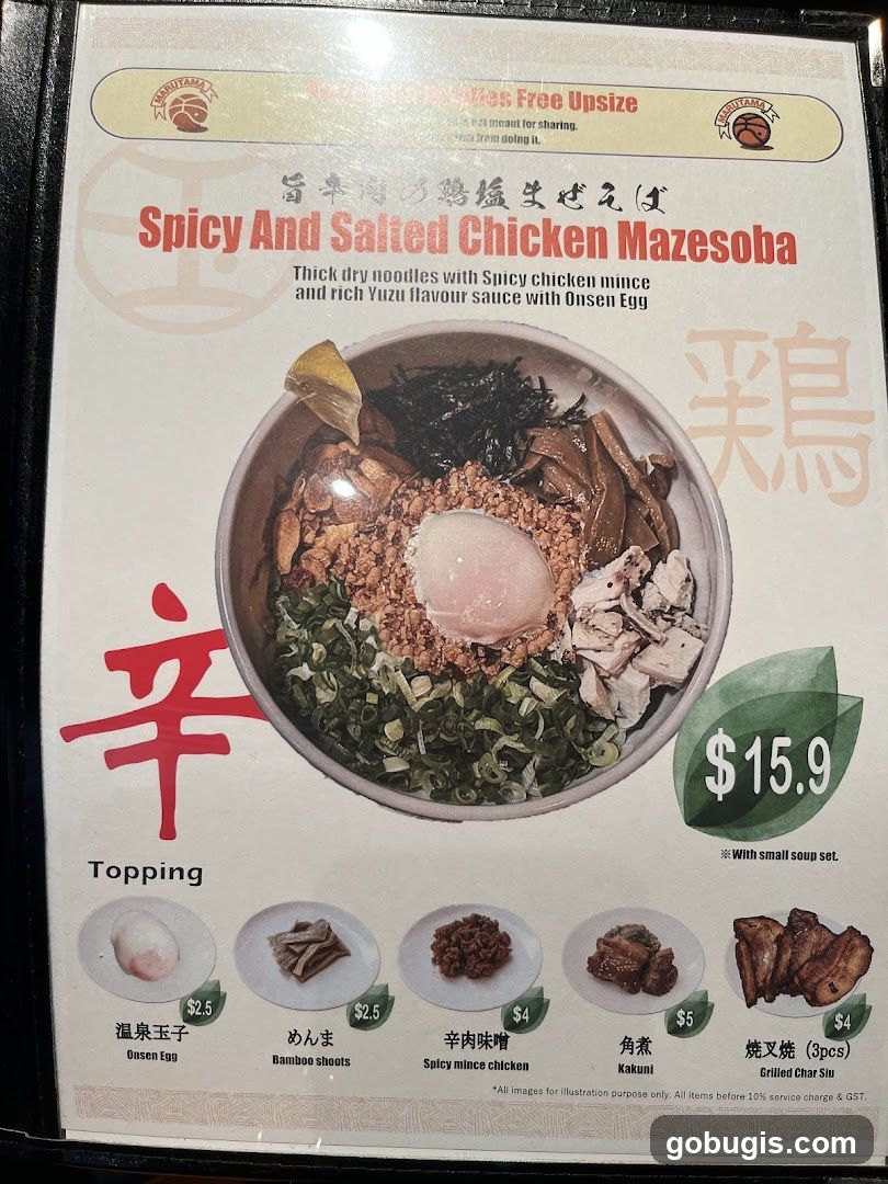 Spicy And Salted Chicken Mazesoba
