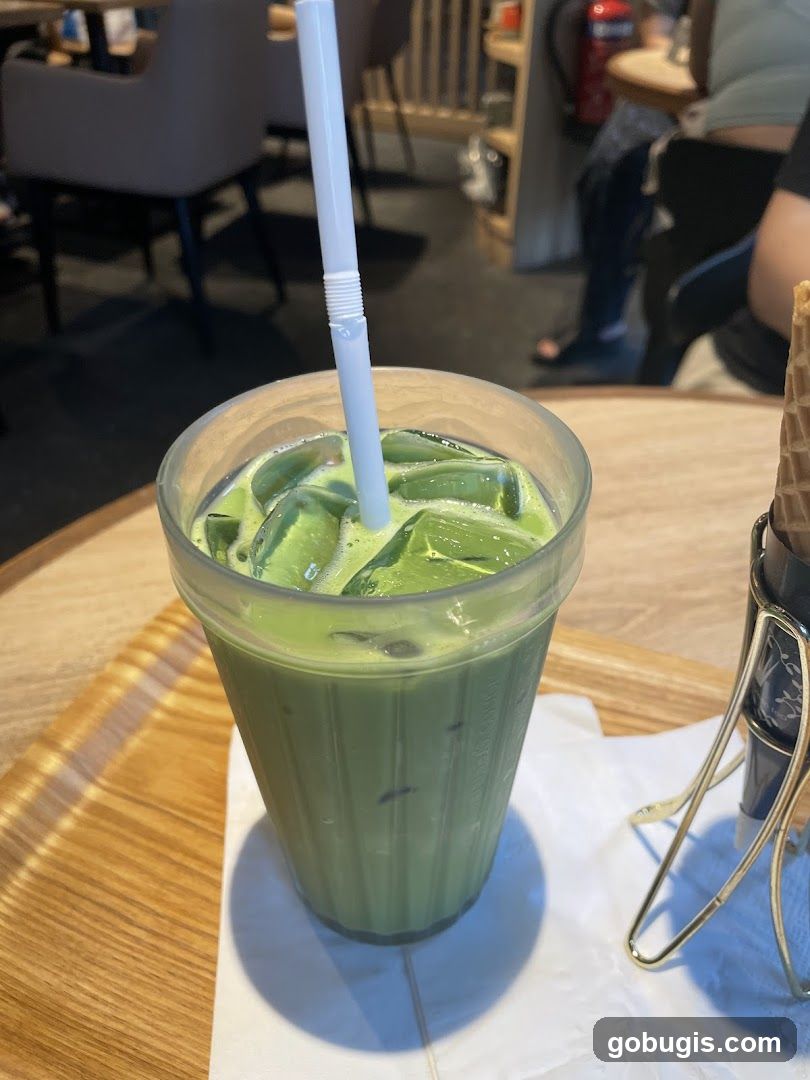 Iced Matcha Latte