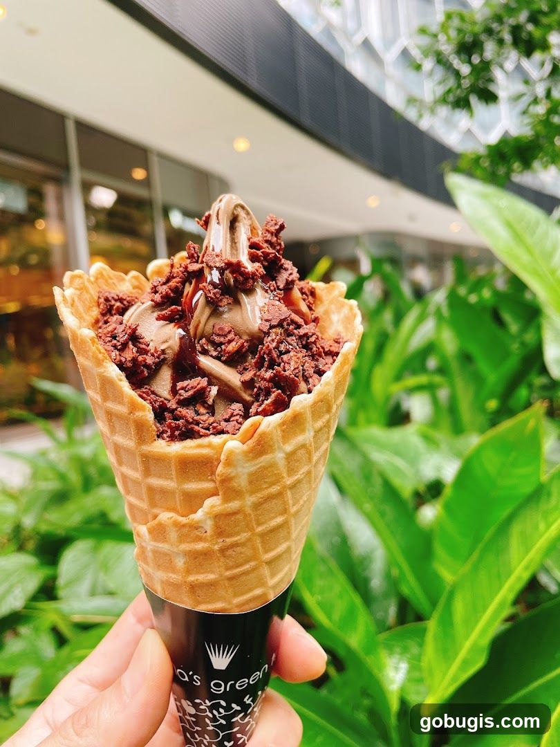 Chocolate Soft Serve Ice Cream Cone