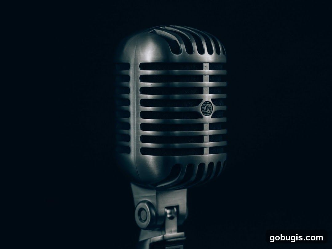 Vintage Microphone