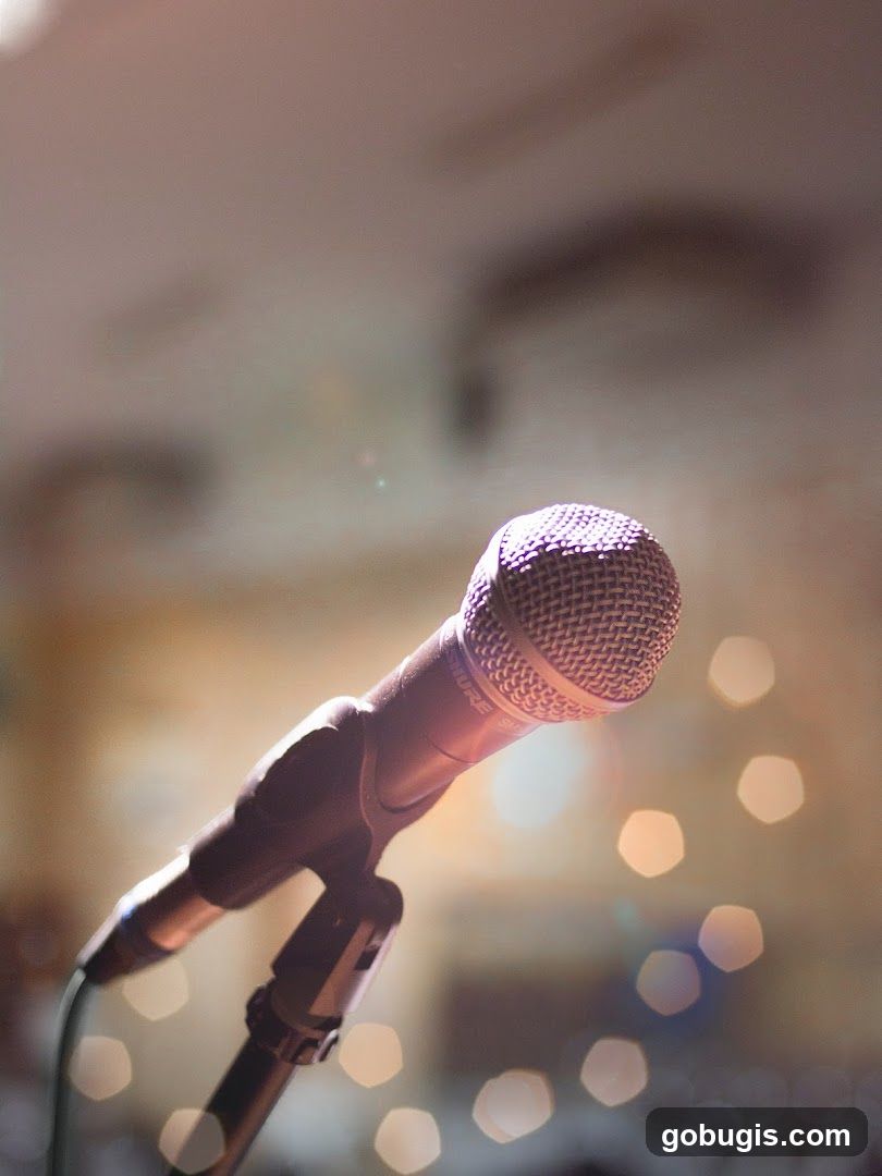 Microphone on Stand
