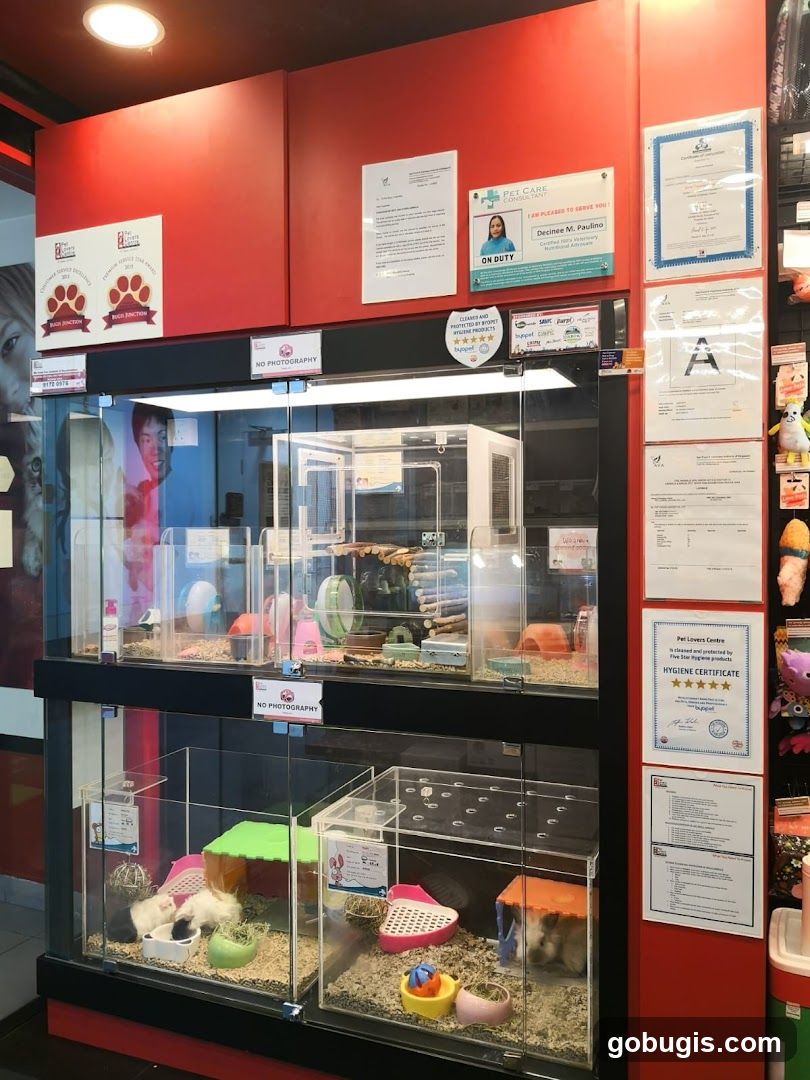 Pet Store Interior with Animal Cages